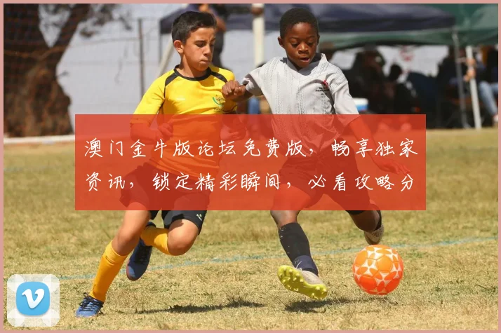 澳门金牛版论坛免费版，畅享独家资讯，锁定精彩瞬间，必看攻略分享